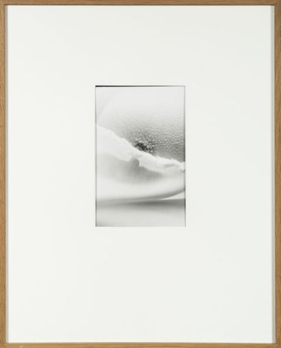 GIRARD Stephan (né en 1968) Série Blasons, 1992
Deux Photographies
21 x 13,5cm

Encadrées...
