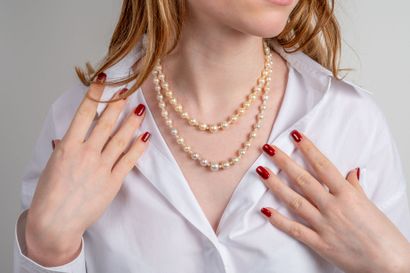 null Collier perles fines, perles culture et diamants

Fait de deux rangs de perles,...