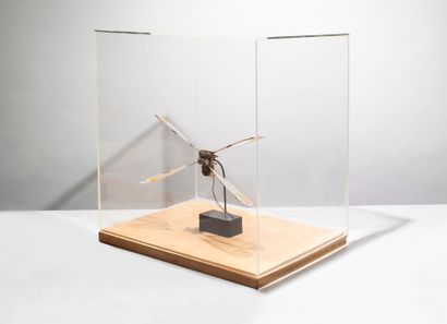 PANAMARENKO (1904-2019) Rêve d'oiseau, 2018
Moteur électrique, métal et plastique...