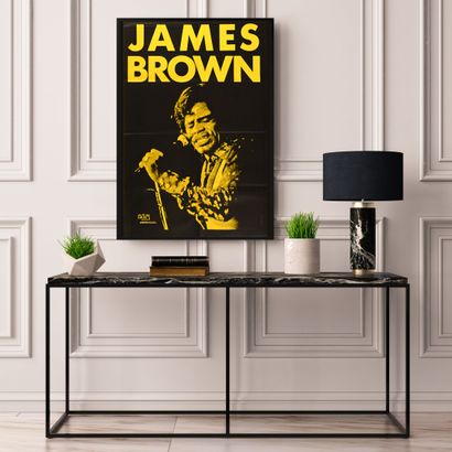 James Brown James Brown
Zenith, 1987
Affiche de concert pliée. Impression Les imprimeurs...