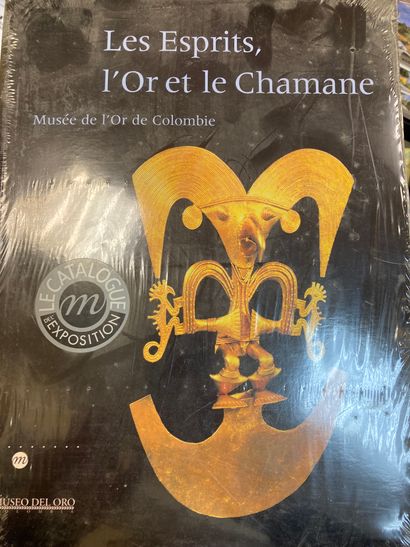 null Beaux arts réunion de 6 volumes in-4 brochès
Les esprits l’or et le chamane,...