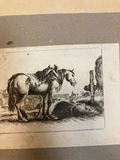 null Gravures du XVIIIème siècle
Réunion de 9 pièces : Animaux chiens, chevaux, âne,...