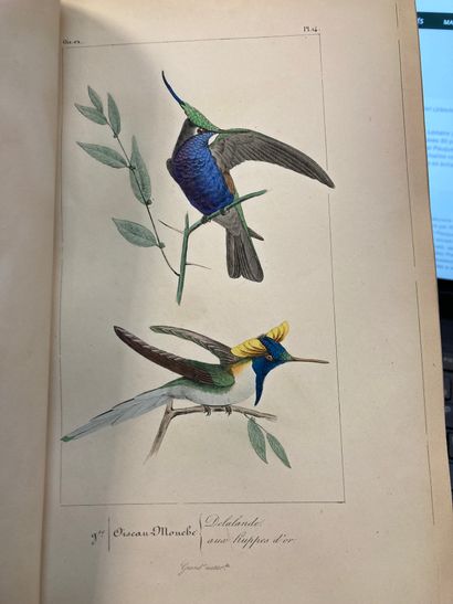 null PREVOST Florent
Lemaire (C.-2) Histoire naturelle des oiseaux exotiques avec...