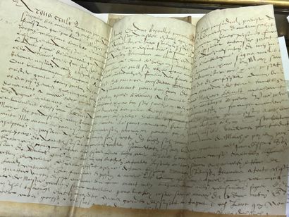 null Documents anciens des XV, XVII et XVIIIème siècle sur peau de velin. Réunion...
