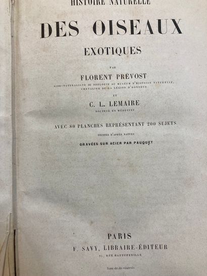 null PREVOST Florent
Lemaire (C.-2) Histoire naturelle des oiseaux exotiques avec...