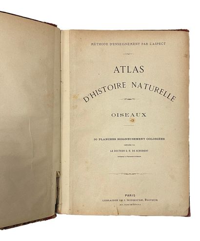 null SCHUBERT ( G M de ). Atlas of Natural History. Oiseaux 30 planches, soigneusement...