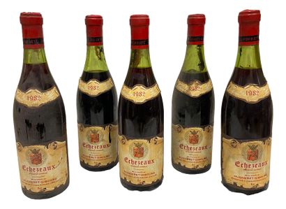 null ECHEZEAUX Mugneret Gibourg 1982 5 bottles