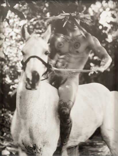 GIAN PAOLO BARBIERI (1938) 
Gian Paolo BARBIERI (1938)




White horse, homage to...