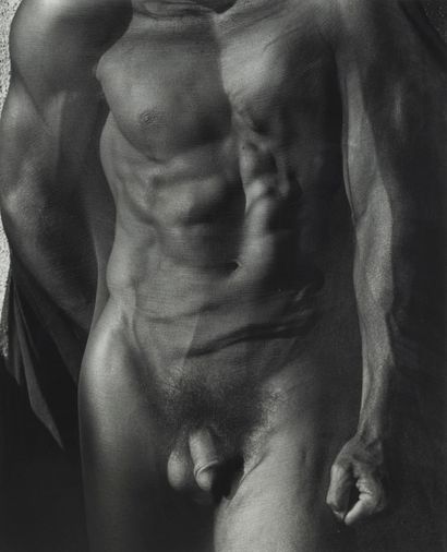 Herb Ritts (1952-2002) Herb RITTS (1952-2002)



Male Torso with Veil, Silverlake,...