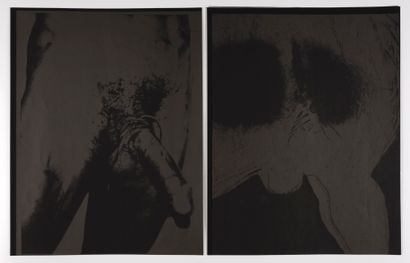 null Andy WARHOL (1928-1987)
Black torso
Portfolio contenant 4 sérigraphies sur papier...