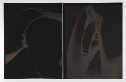 null Andy WARHOL (1928-1987)
Black torso
Portfolio contenant 4 sérigraphies sur papier...