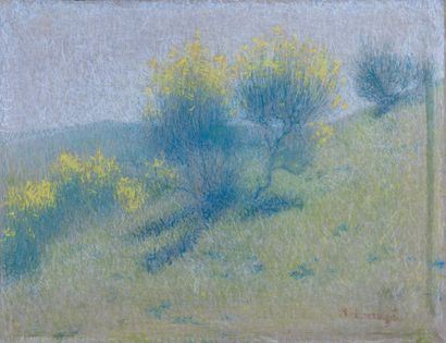  Achille LAUGE (1861-1944). 
Genêts en fleurs. 
Pastel sur toile signé en bas à droite.... Gazette Drouot