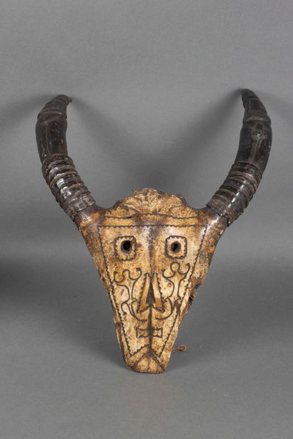 Engraved buffalo skull, Toradja, Indonesia...