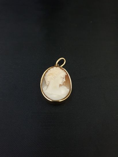 Oval cameo with a young woman's profile in...