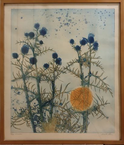 null Anne WALKER (b. 1933): 
Cirsium. Etching signed lower right, titled and numbered...