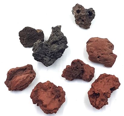 null Set comprising eight small pieces of red and black volcanic stone in various...