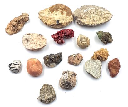 null Set of various stones and fossils including ammonite, coral, gnaite, sand rose......