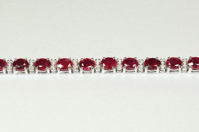 null Bracelet ligne en or gris 18K (750/oo) serti de rubis ovales calibrant ensemble...