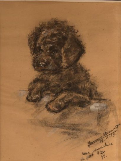 GERMAINE BOURET Portrait de chien, 27 décembre 1939 Croquis au fusain et gouache...