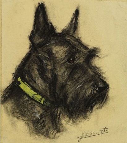 GERMAINE BOURET Portrait de chien.Fusain et gouache sur papier, monté sur carton,...