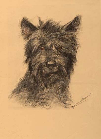 GERMAINE BOURET Portraits de chiens de face et profil.Réunion de 2 gravures en couleurs...