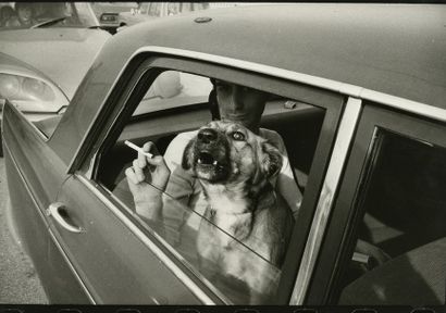France Un chien à Chatou, 1974.. Tirage argentique ca. 1990, tampon « PHOTO J.P....