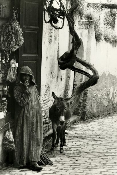 MAROC L’arbre et l’âne, ca. 1960.. Tirage argentique ca. 1990, tampon « PHOTO J.P....