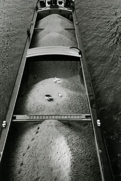 France L’arche de Noé, Paris, 1976.. Tirage argentique ca. 1990, tampon « PHOTO J.P....