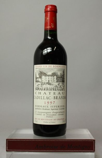 CHÂTEAU CADILLAC-BRANDA - Bordeaux sup 12 bouteilles. 1997. EN L'ETAT