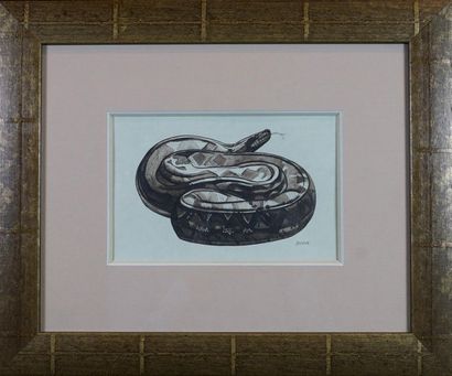Paul JOUVE d’après. Python coiled, engraved, signed. 14 x 23 cm