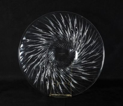 LALIQUE Crystal bowl model Algae created in 1933 Diam 39 cm
