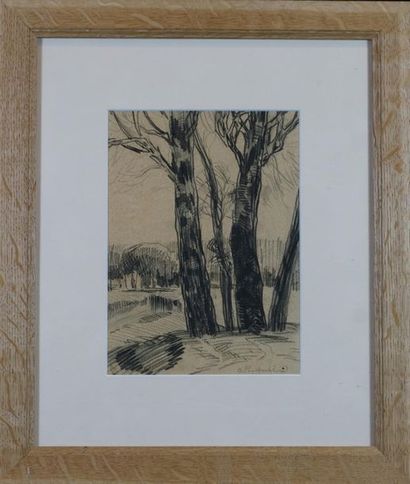 Basile POUSTOCHKINE (1893 - 1973) . Les arbres. Fusain sur papier double face signé....
