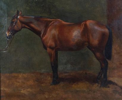 TAYLER Cheval au box. Huile sur toile signée et datée 1860. Dimensions 43 x 54 cm....