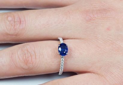 null Ring in 18K (750/oo) white gold centered on an oval sapphire calibrating approximately...