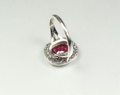 null Oval ring in 18K (750/oo) white gold set with a cushion-cut ruby calibrating...