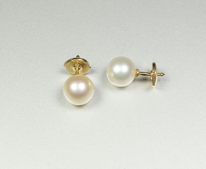 null Pair of 18K (750/oo) yellow gold ear studs decorated with cultured pearls (8.6/8.7...