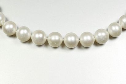 Freshwater cultured pearl necklace (diameter...