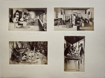 CEYLAN Le thé : plantation, récolte, séchage, stockage, ca. 1890. Photographies....