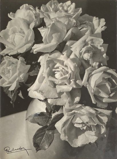 Pierre Auradon (1900-1988) PIERRE AURADON (1900-1988) 
Roses, ca. 1940. 
Photographie....