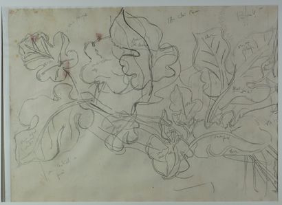 Raoul DUFY (1877-1953) Feuillage
Étude au crayon conté portant des annotations de...