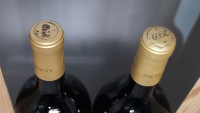 null 2 magnums ESPAGNE Rioja "MACAN" - Rothschild & Vega Sicilia 2009 En coffrets...