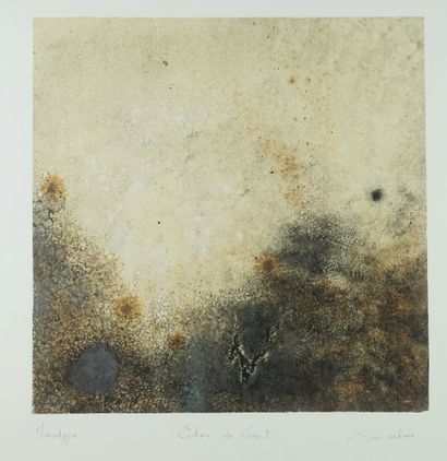 Anne TURLAIS "Echos du vivant" . Ensemble de monotypes sur papier ( 55 x 55 cm, 23...