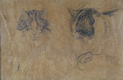 Rodolphe BOLLIGER (1878- 1952). Etude avec deux têtes de chat. Dessin à l’encre noire,...