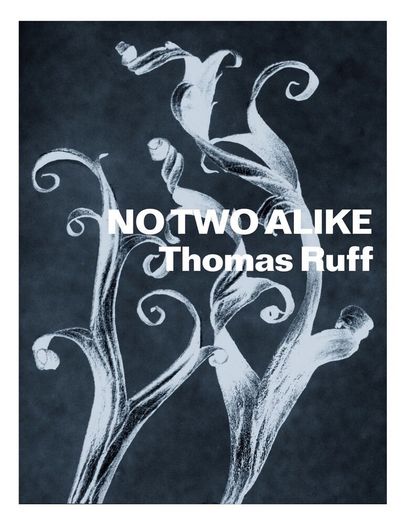 Ruff Thomas No Two Alike : Karl Blossfeldt, Francis Bruguière, Thomas Ruff. Verlag...