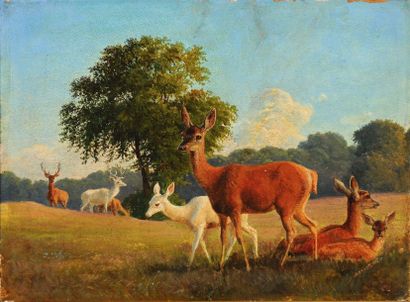 BOEGH Carl (1827-1893) Harde de cerfs et de biches dans un paysage Huile sur papier...
