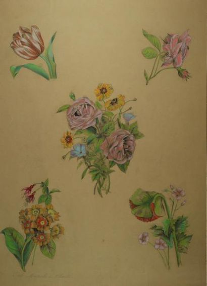ECOLE DE CHARTRES "Fleurs" Cinq pierres noires et crayon de couleur Travail XIXème...