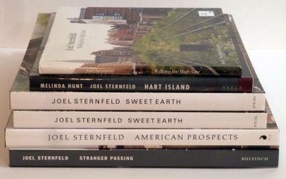 JOEL STERNFELD 6 VOLUMES Joël Sternfeld «Island» 1998; Joël Sternfeld «Walking the...