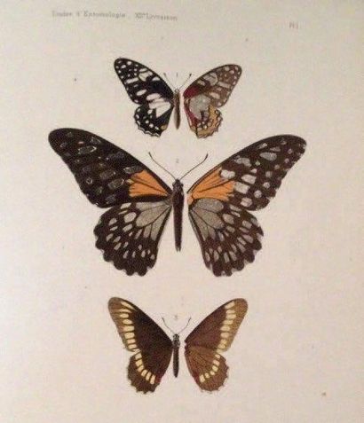 OBERTHÜR (Charles.) Etudes d'entomologie. Faunes entomologiques, descriptions d'insectes...