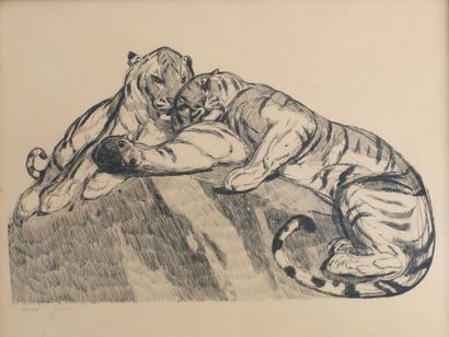 Paul JOUVE (1878-1973) Deux tigres se reposant gravure signée en bas à gauche et...