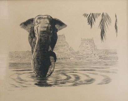 Paul JOUVE (1878-1973) Eléphant  et cornacs au bain gravure signée en bas à gauche...